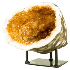 Natürliche Citrin Geode Höhle mit funkelnden High-Grade Orange Citrin