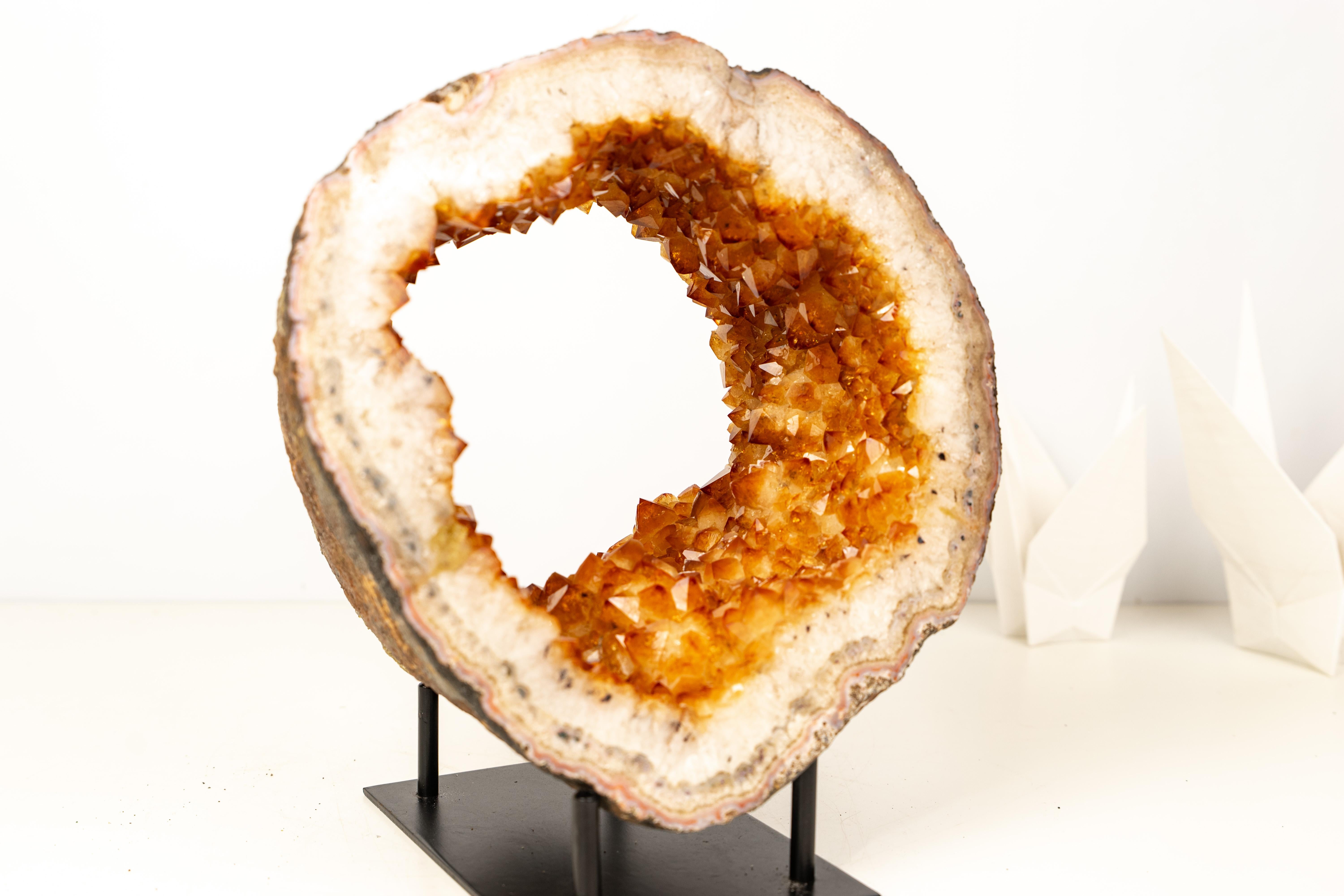 Citrine Geode Portal Slice with Flower Rosettes – Golden Orange Citrine on Stand

▫️ Description

This rare Citrine Geode Portal Slice brings beautiful aesthetics and an outstanding natural formation. The golden-orange citrine displays bright, shiny