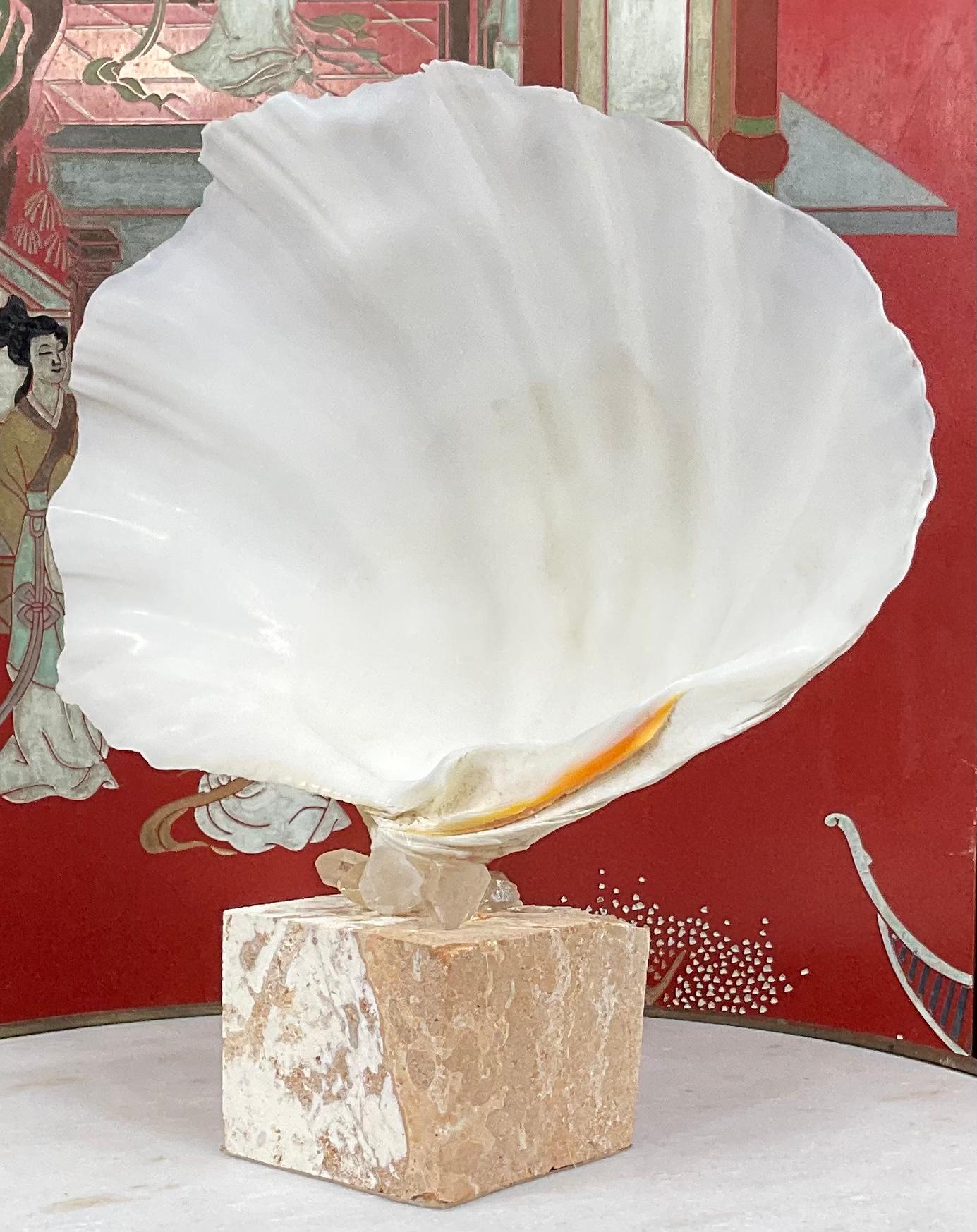 Beautiful natural clamshell with cream color patina, professionally clean and mounted on original natural coral base, with some accents of rock Crystal. Great natural object of art for display.
Size of clamshell without base is 12” x 8”.
