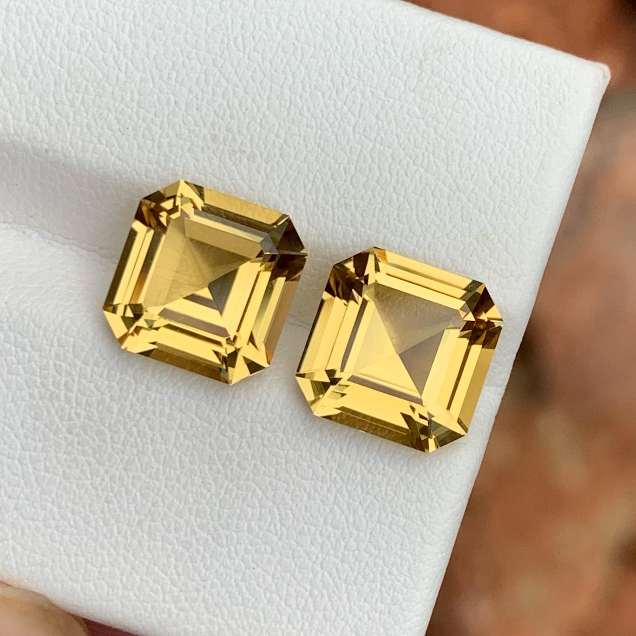 Modernist Natural Color Heliodore Pair for Earrings, 9.80 Carats, Octagon Shape, AAA Quali For Sale
