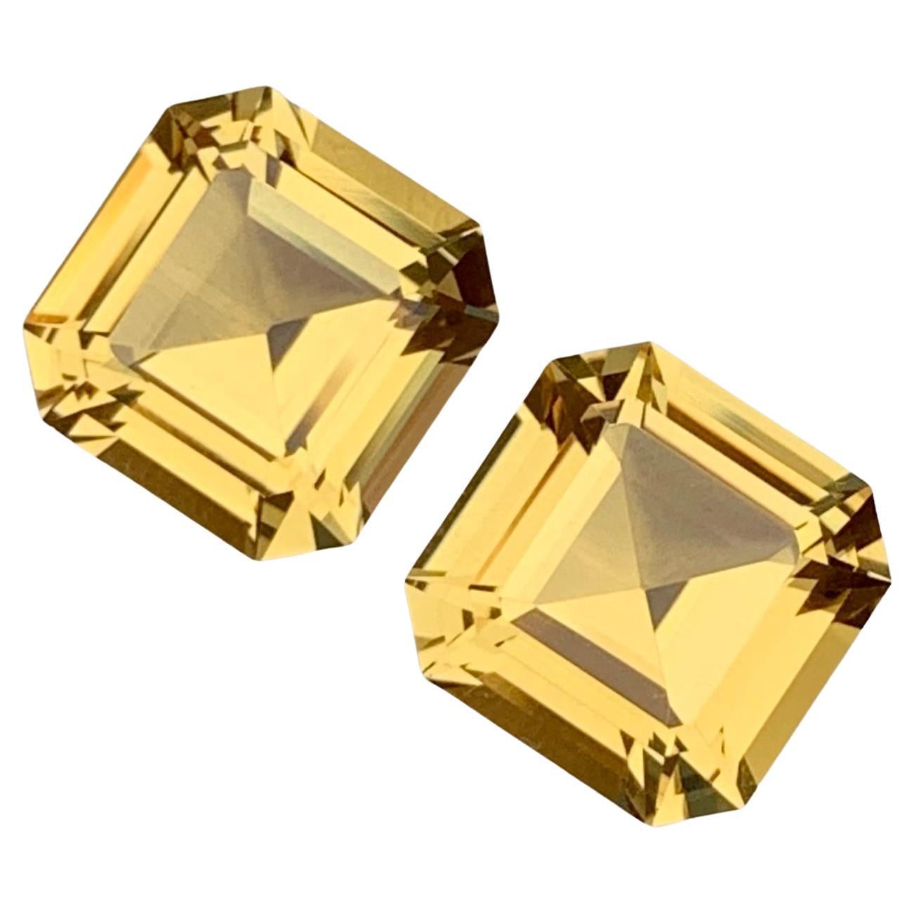 Natural Color Heliodore Pair for Earrings, 9.80 Carats, Octagon Shape, AAA Quali For Sale