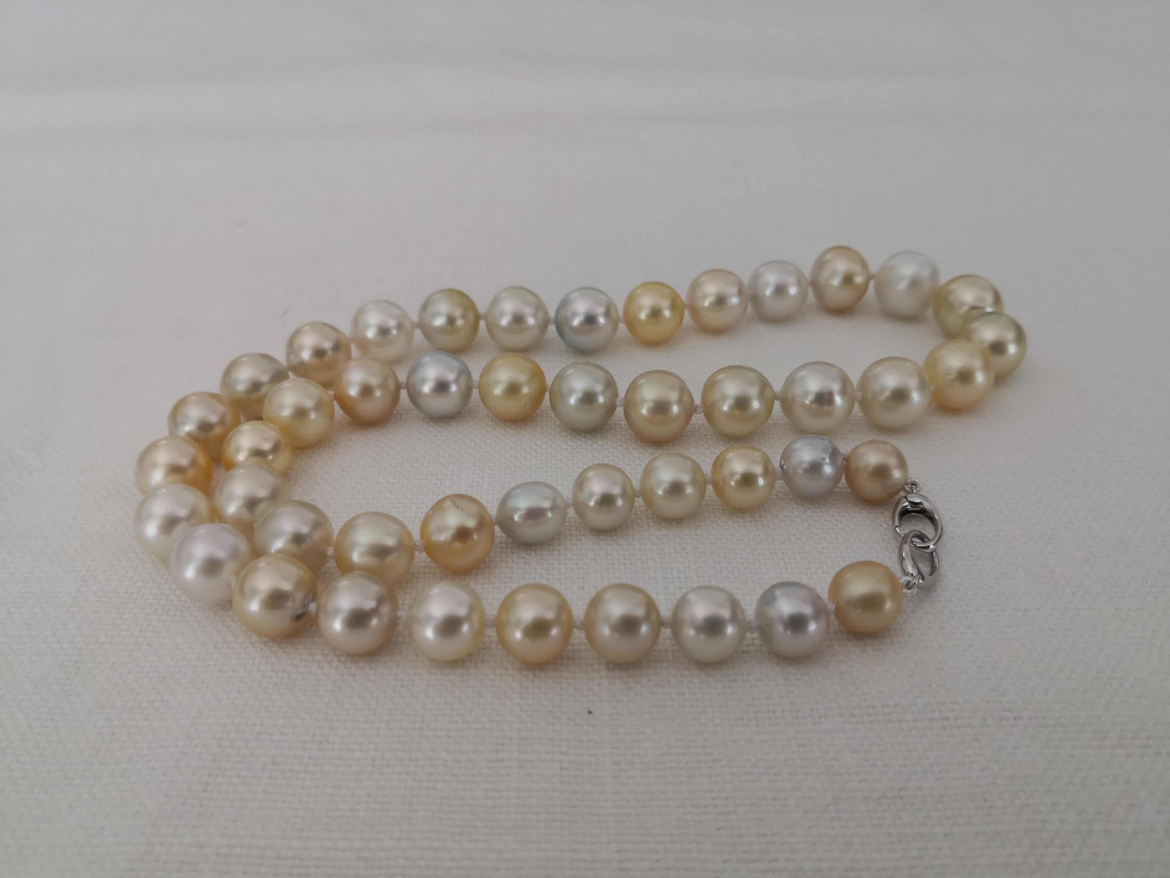 Contemporary Natural Colors South Sea Pearl Choker Necklace Round Shape For Sale