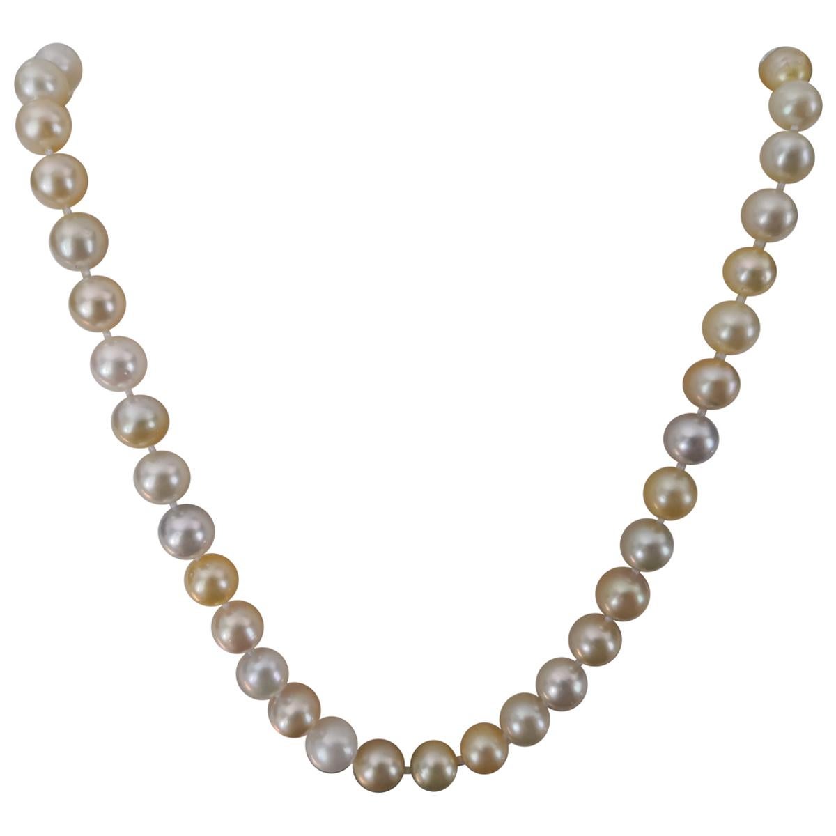 Natural Colors South Sea Pearl Choker Necklace Round Shape For Sale