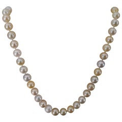 Natural Colors South Sea Pearl Choker Necklace Round Shape