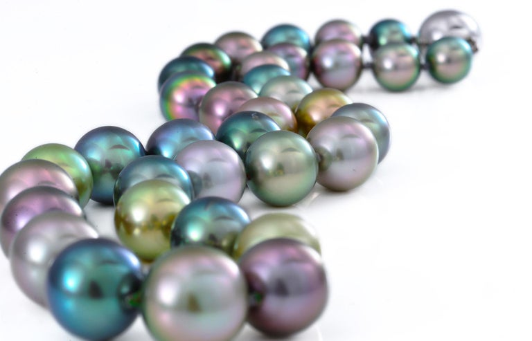 Natural Colored Tahitian Pearls, Rainbow of The Pacific For Sale at ...