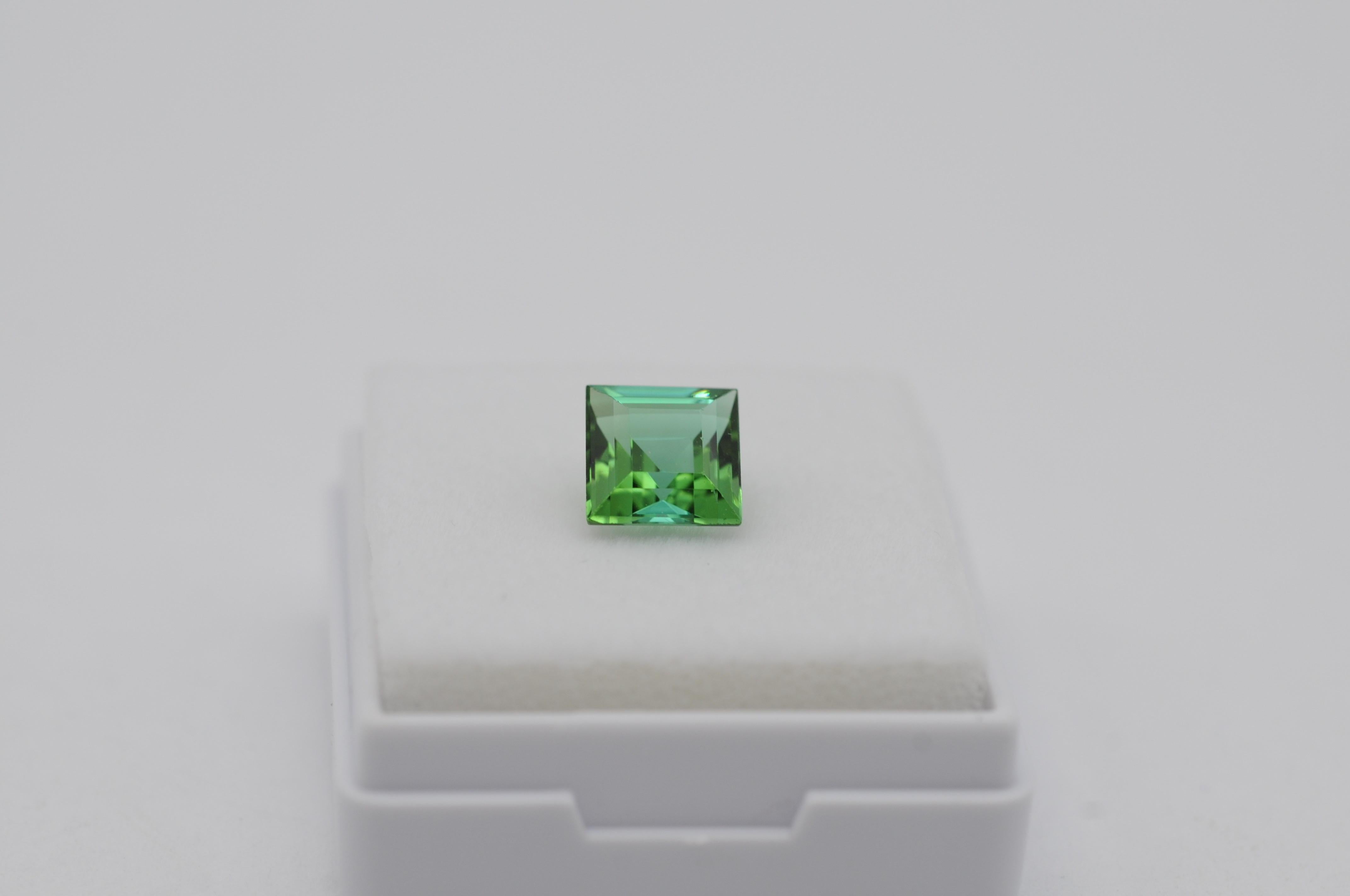 Tourmaline naturelle du Congo - 1,64 ct

Un rapport sur les pierres précieuses est inclus, confirmant l'authenticité et les caractéristiques de la pierre.