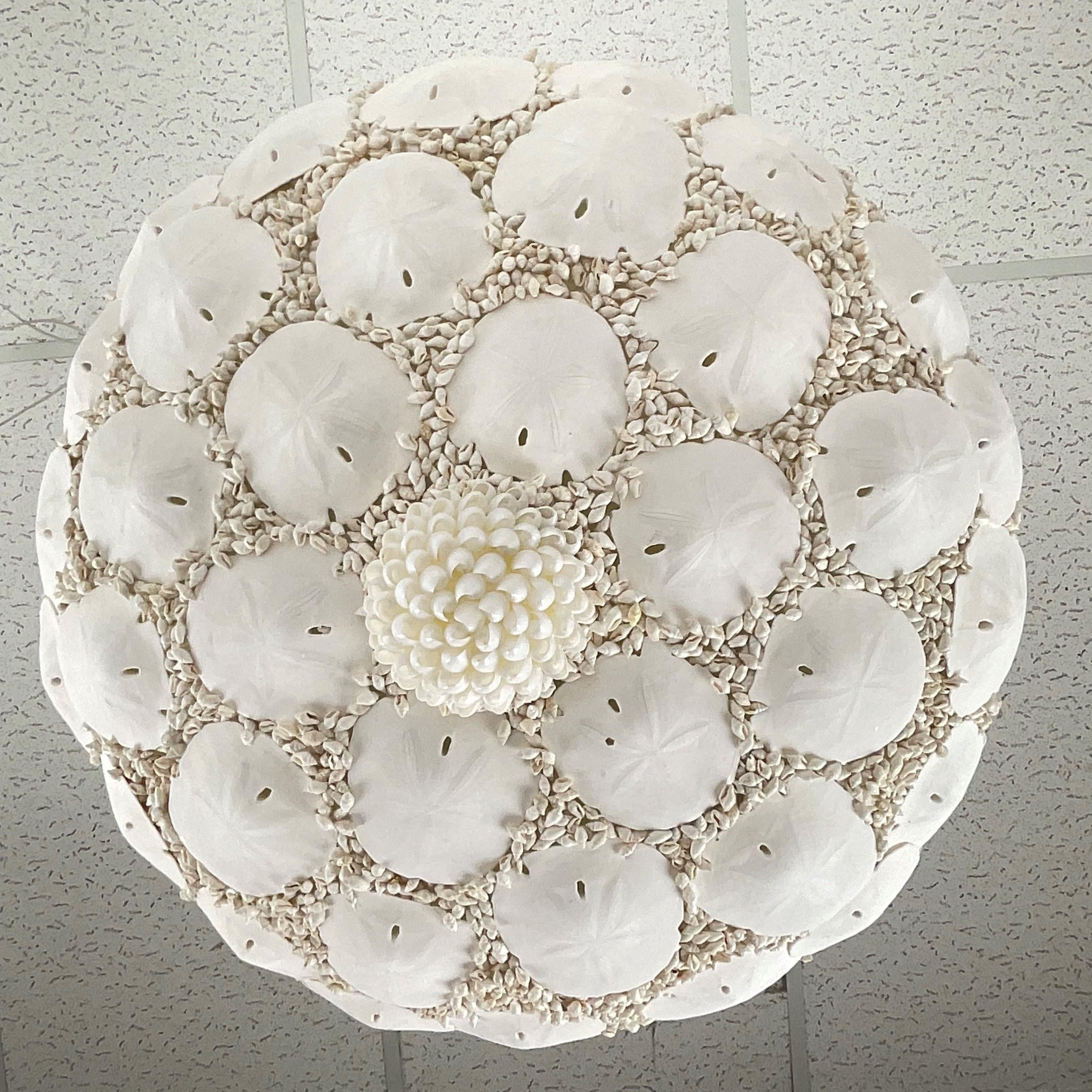 Lámpara de coral natural y cuenco de conchas en venta 10