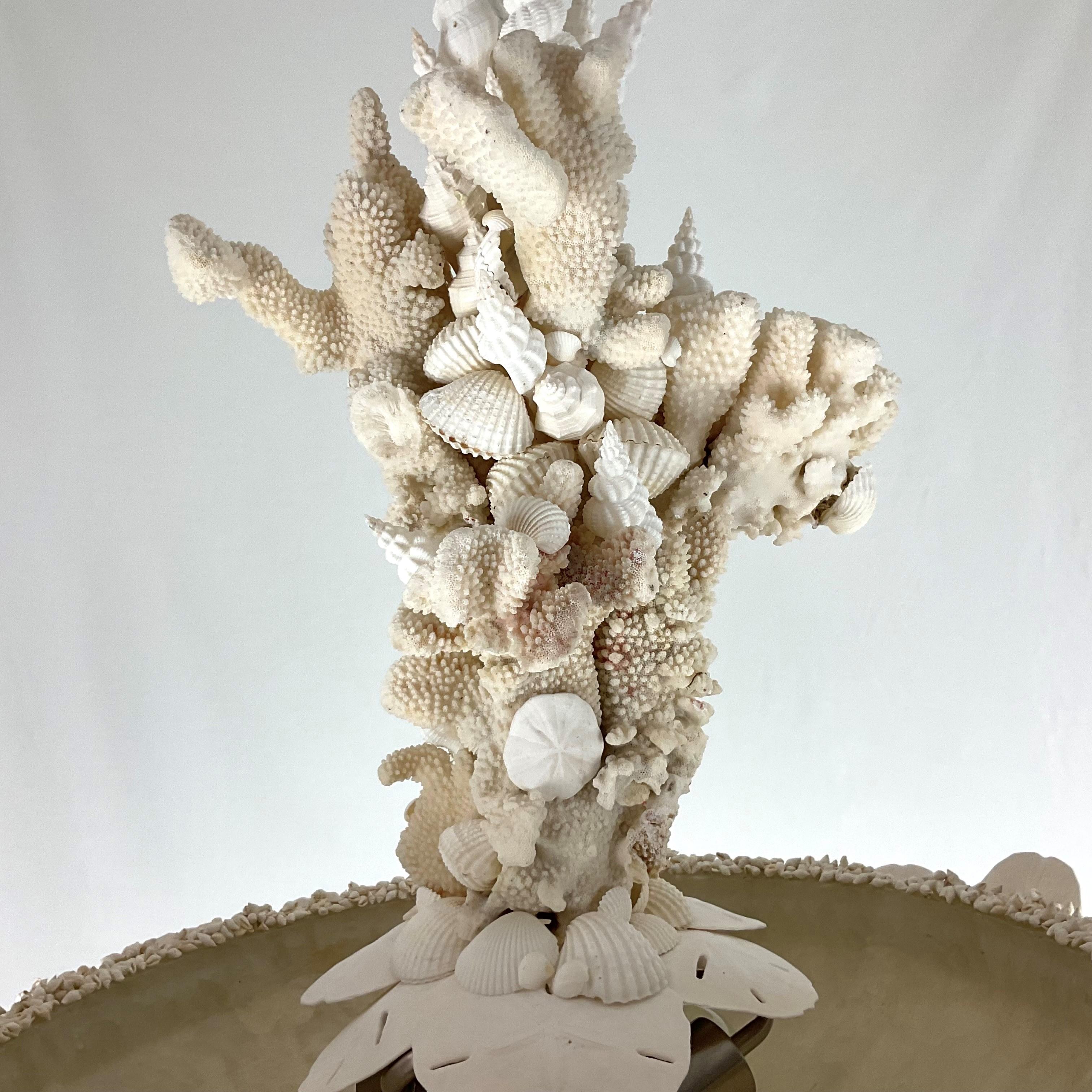 Lámpara de coral natural y cuenco de conchas en venta 11