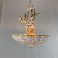 Natural Coral and Shell Bowl Chandelier
