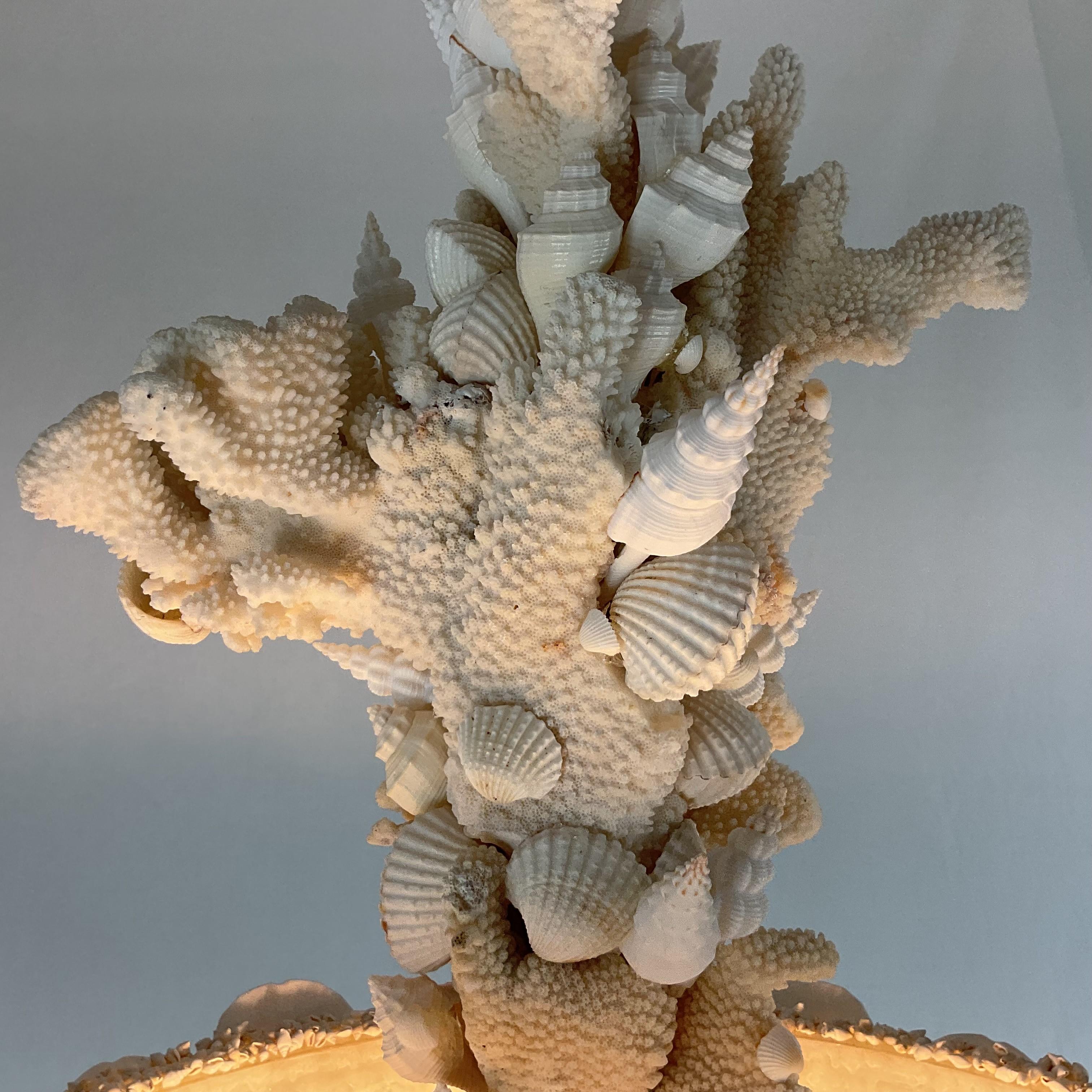 Lámpara de coral natural y cuenco de conchas en venta 1