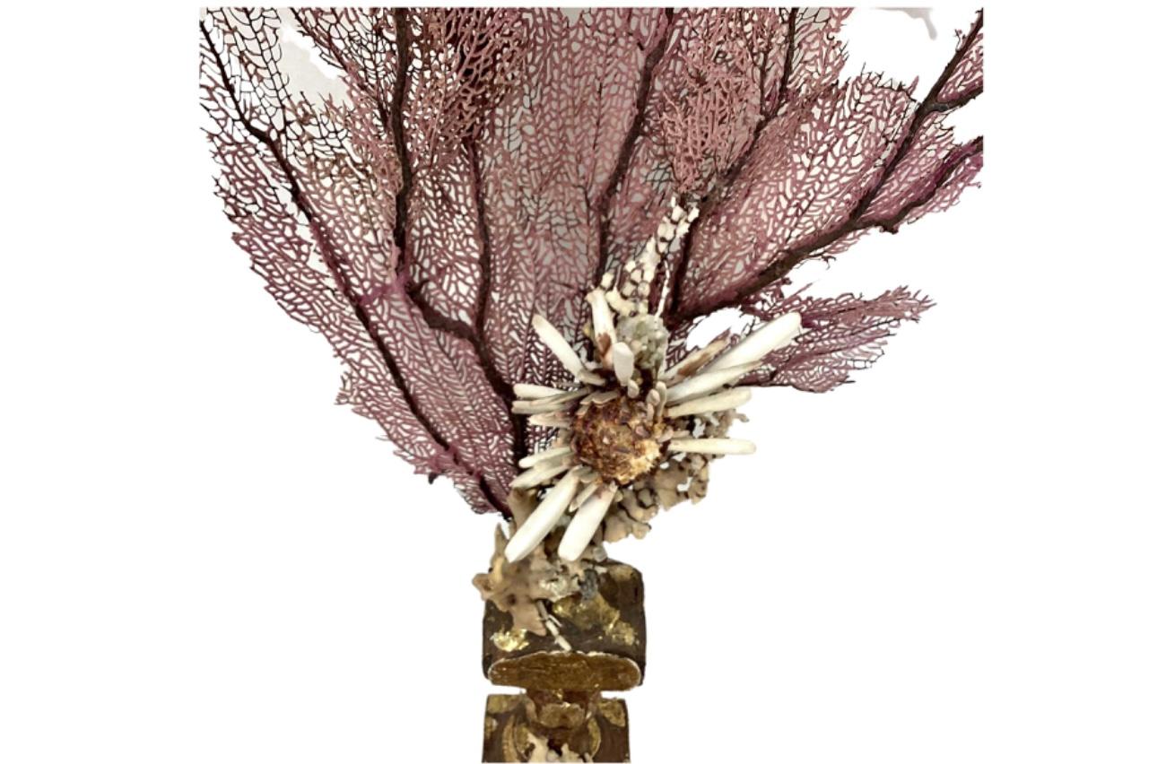 A large hand-crafted sculpture specimen of natural fan coral branches with shells, mounted on a 18th century wooden fragment base.