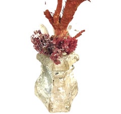 Natural Coral Mounted On 18th Century Fragment