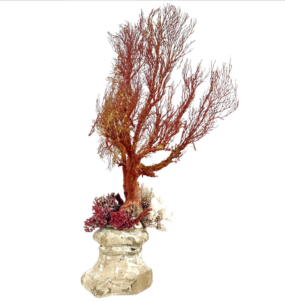 Organic Modern Natural Coral Mounted On 18th Century Fragment For Sale