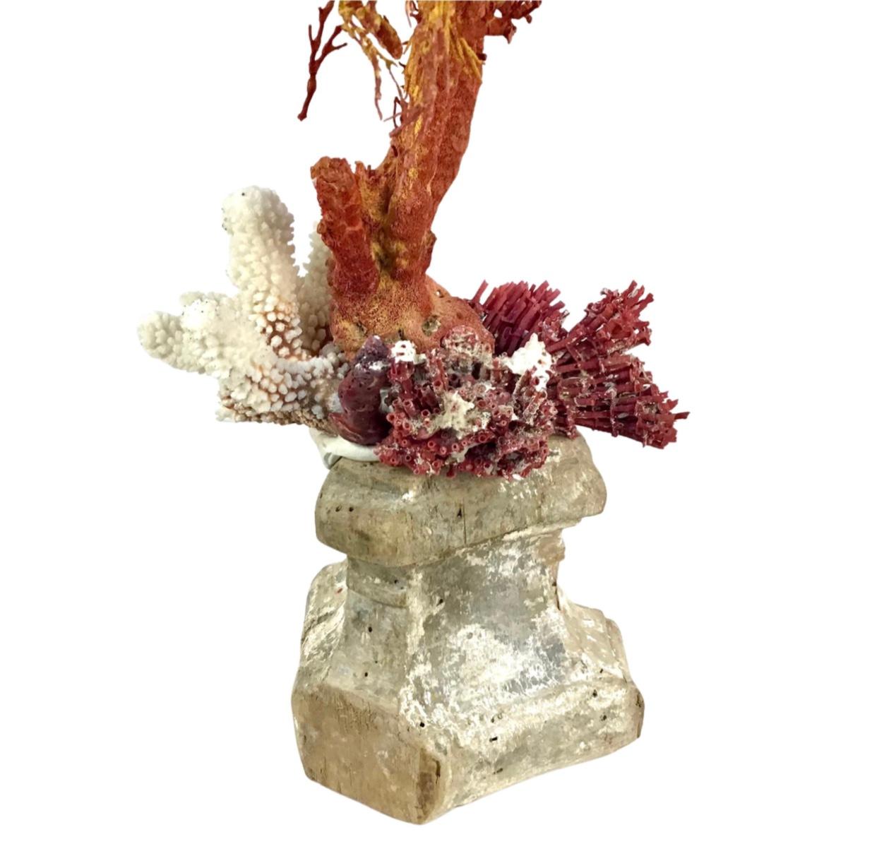 Natural Coral Mounted On 18th Century Fragment In Fair Condition For Sale In Bradenton, FL