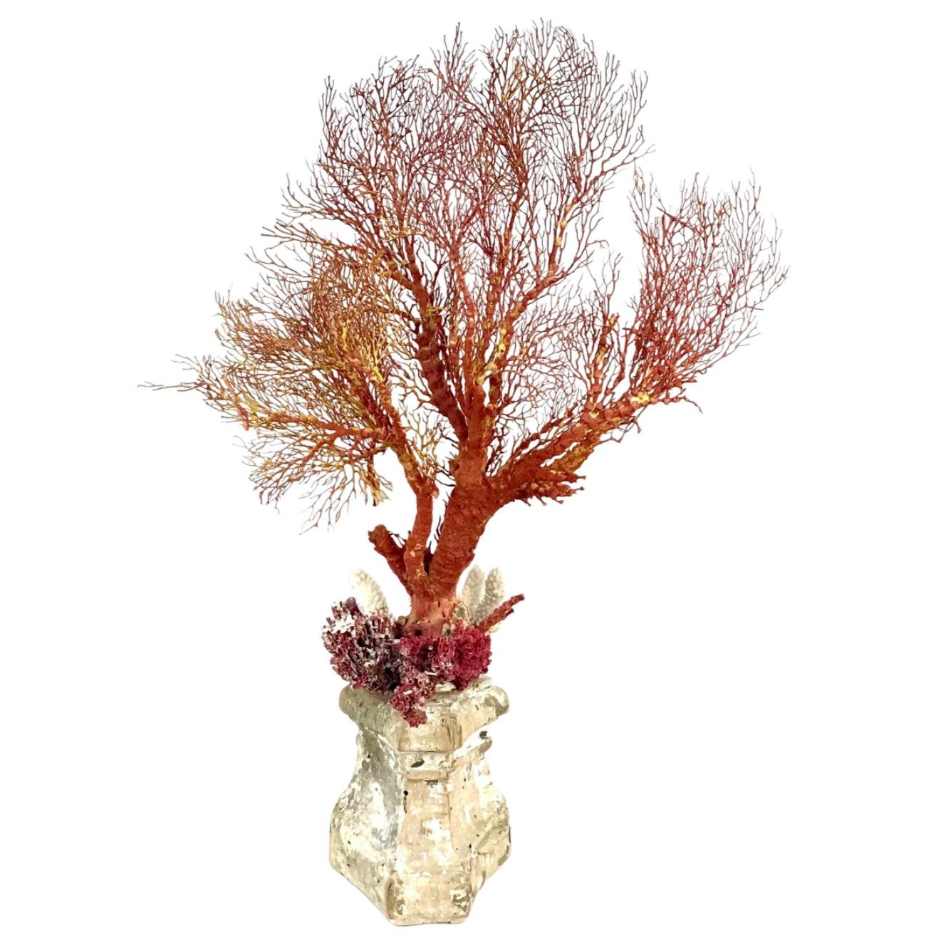 20th Century Natural Coral Mounted On 18th Century Fragment For Sale