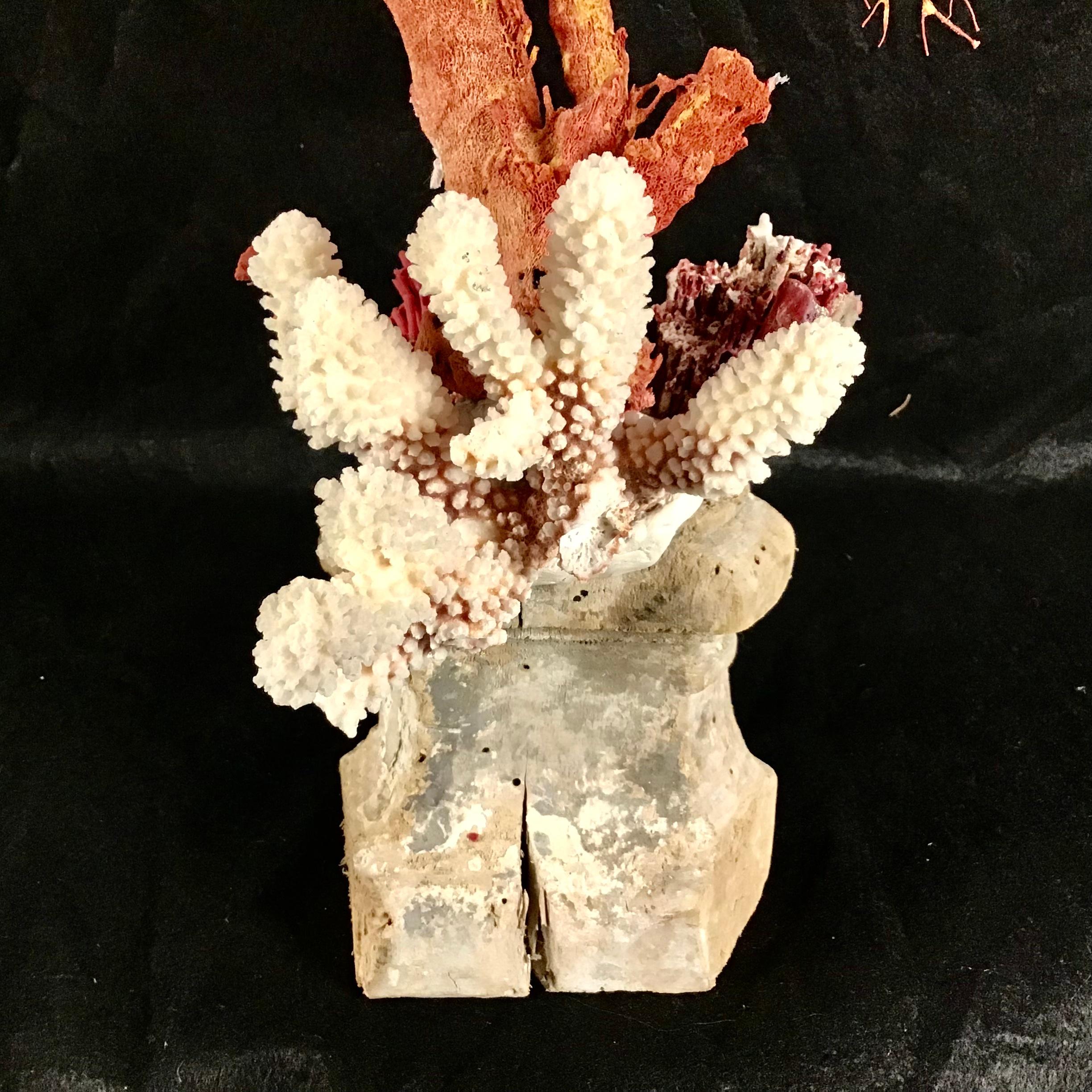 Natural Coral Mounted On 18th Century Fragment For Sale 3