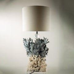 Tischlampe aus natürlichem Korallenriff mit blauer Gorgonie und weißen Riffkorallen