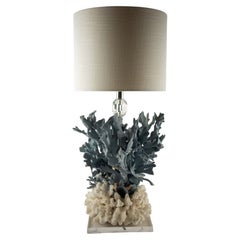Tischlampe aus natürlichem Korallenriff mit blauer Gorgonie und weißen Riffkorallen