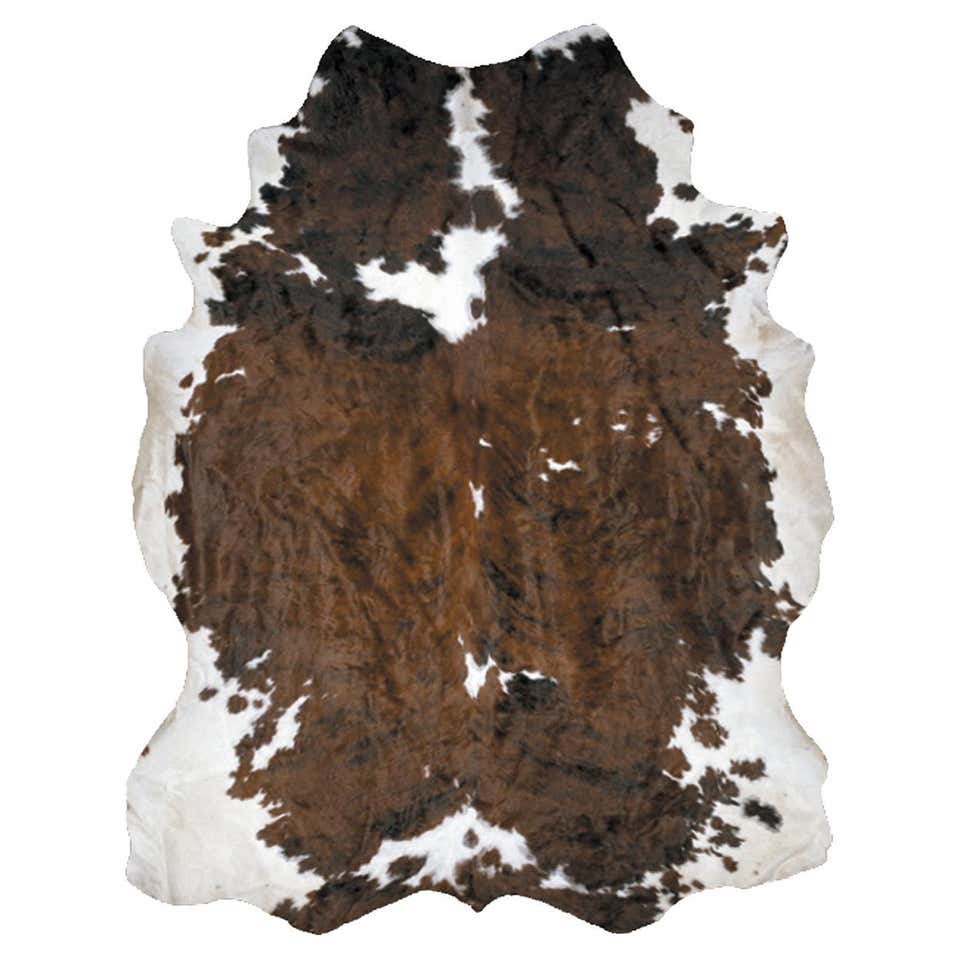 Exploded Cow Rug For Sale at 1stDibs