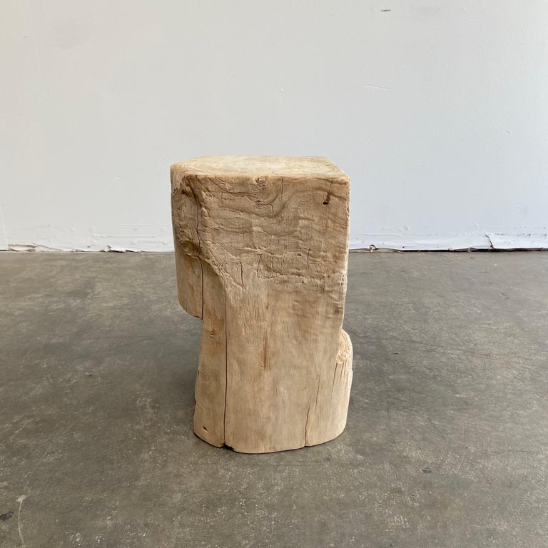 Natural Cypress Wood Stump for Side Table at 1stDibs
