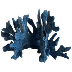 Natural Dark Blue Coral