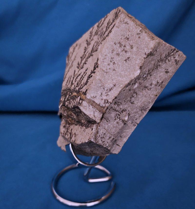 Natural Dendritic Specimen Slab or Fossil Specimen For Sale 2