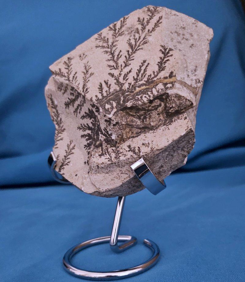 Organic Modern Natural Dendritic Specimen Slab or Fossil Specimen For Sale