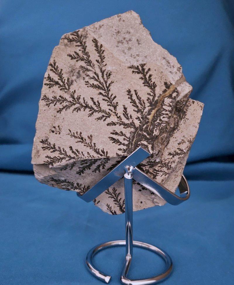 Unknown Natural Dendritic Specimen Slab or Fossil Specimen For Sale