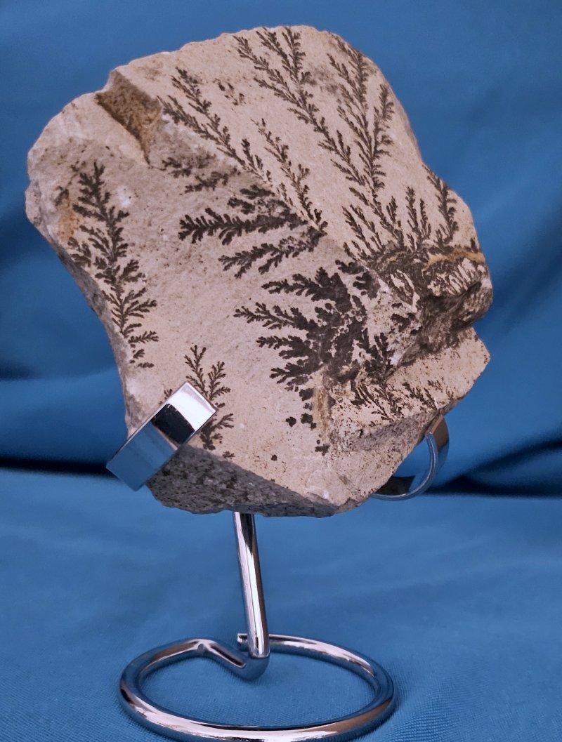 Other Natural Dendritic Specimen Slab or Fossil Specimen For Sale