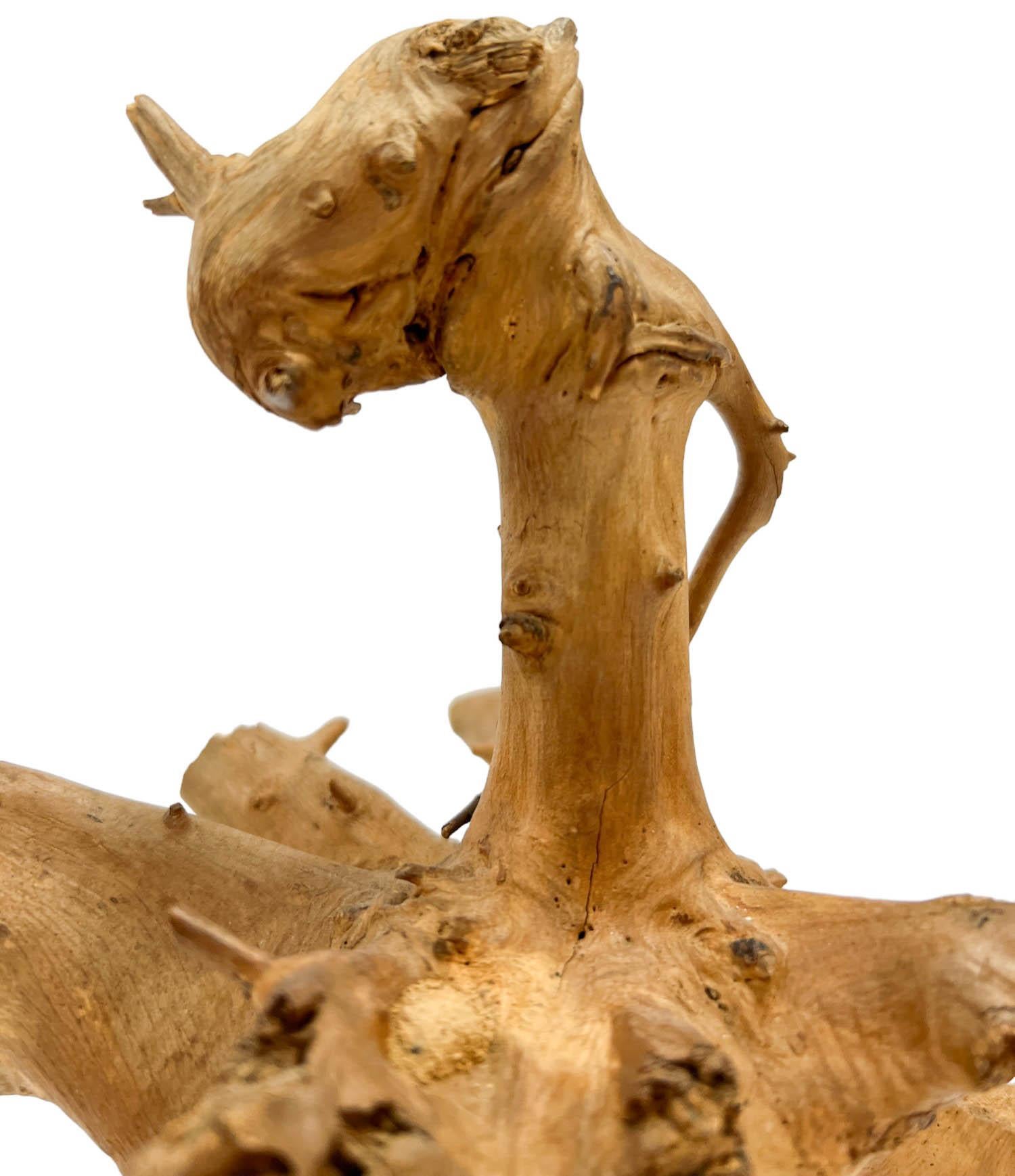 Une sculpture unique en bois flotté qui met en valeur la forme captivante et majestueuse d'une tête de dragon. Les textures riches et variées du bois flotté et ses teintes chaudes et naturelles soulignent la beauté inhérente du matériau, tandis que