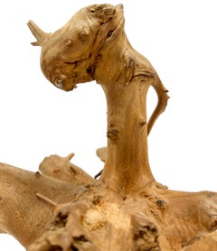 Natural Driftwood Dragon Head Sculpture on Black Base