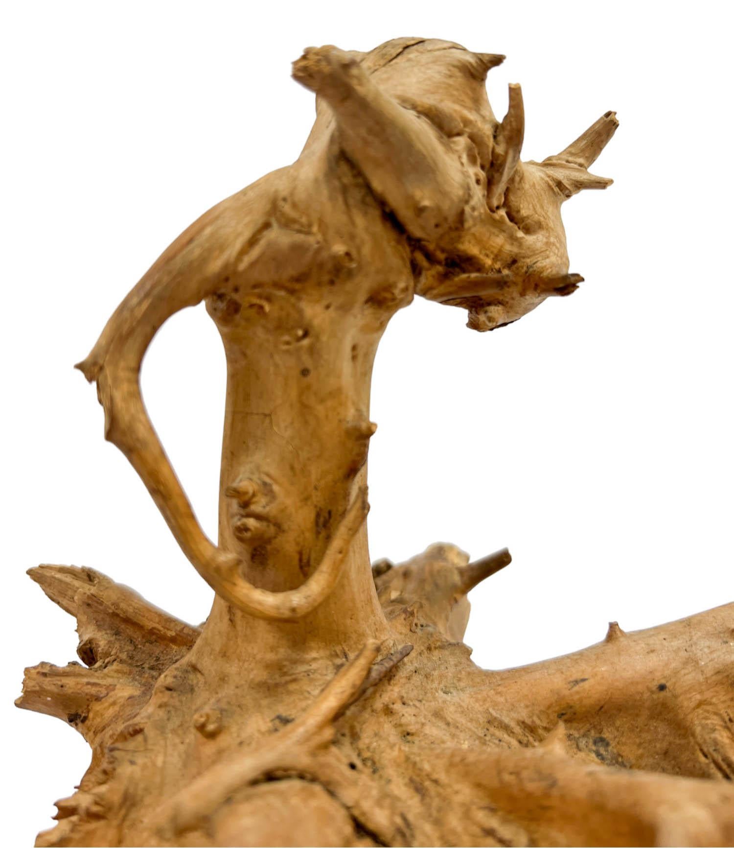Américain Sculpture de tête de dragon en bois flotté naturel sur socle noir en vente