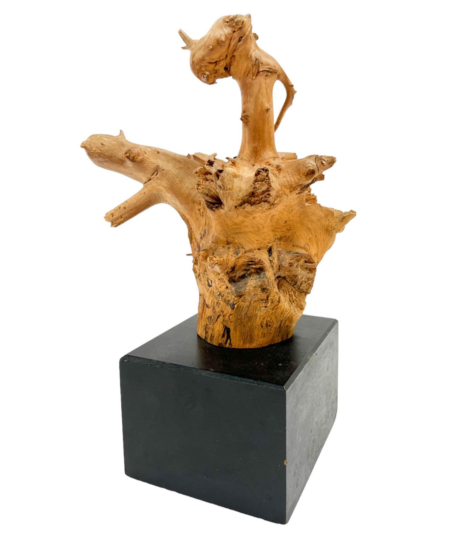 Fin du 20e siècle Sculpture de tête de dragon en bois flotté naturel sur socle noir en vente