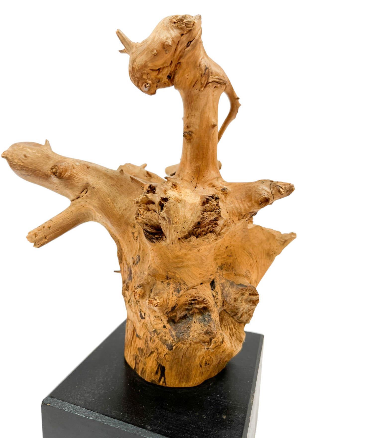 Bois flotté Sculpture de tête de dragon en bois flotté naturel sur socle noir en vente