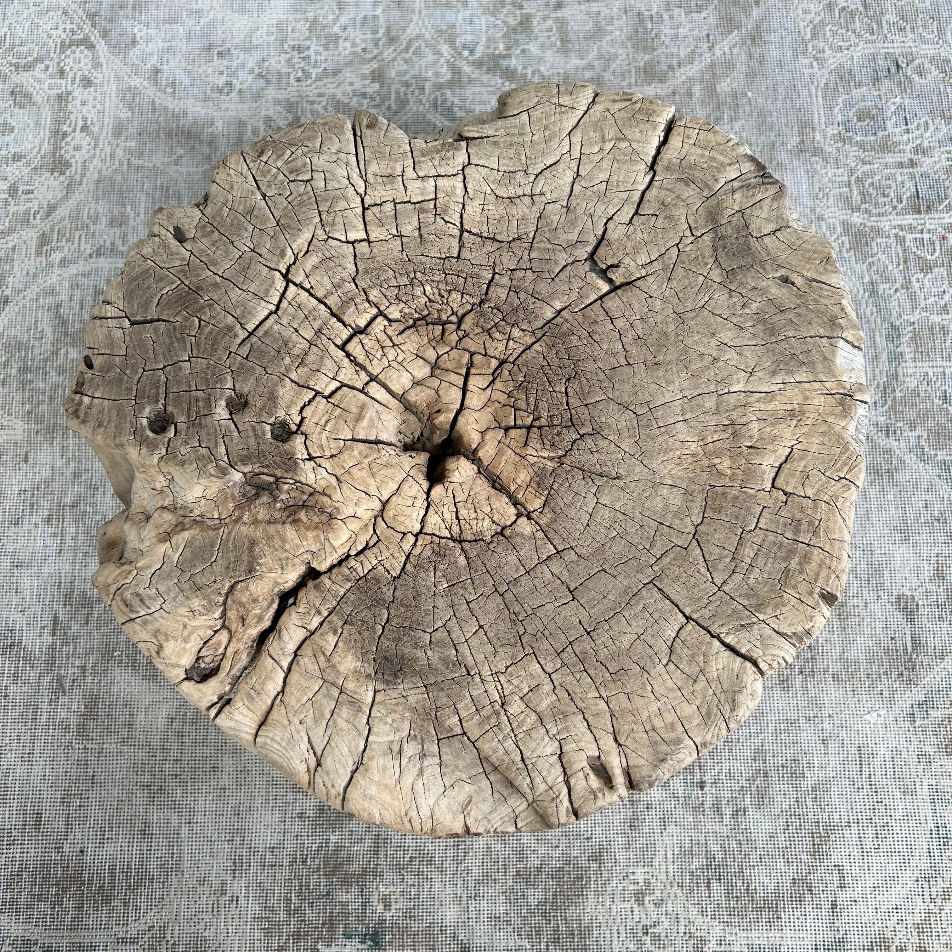 Asian Natural Elm Wood Stump Chop Block Table For Sale
