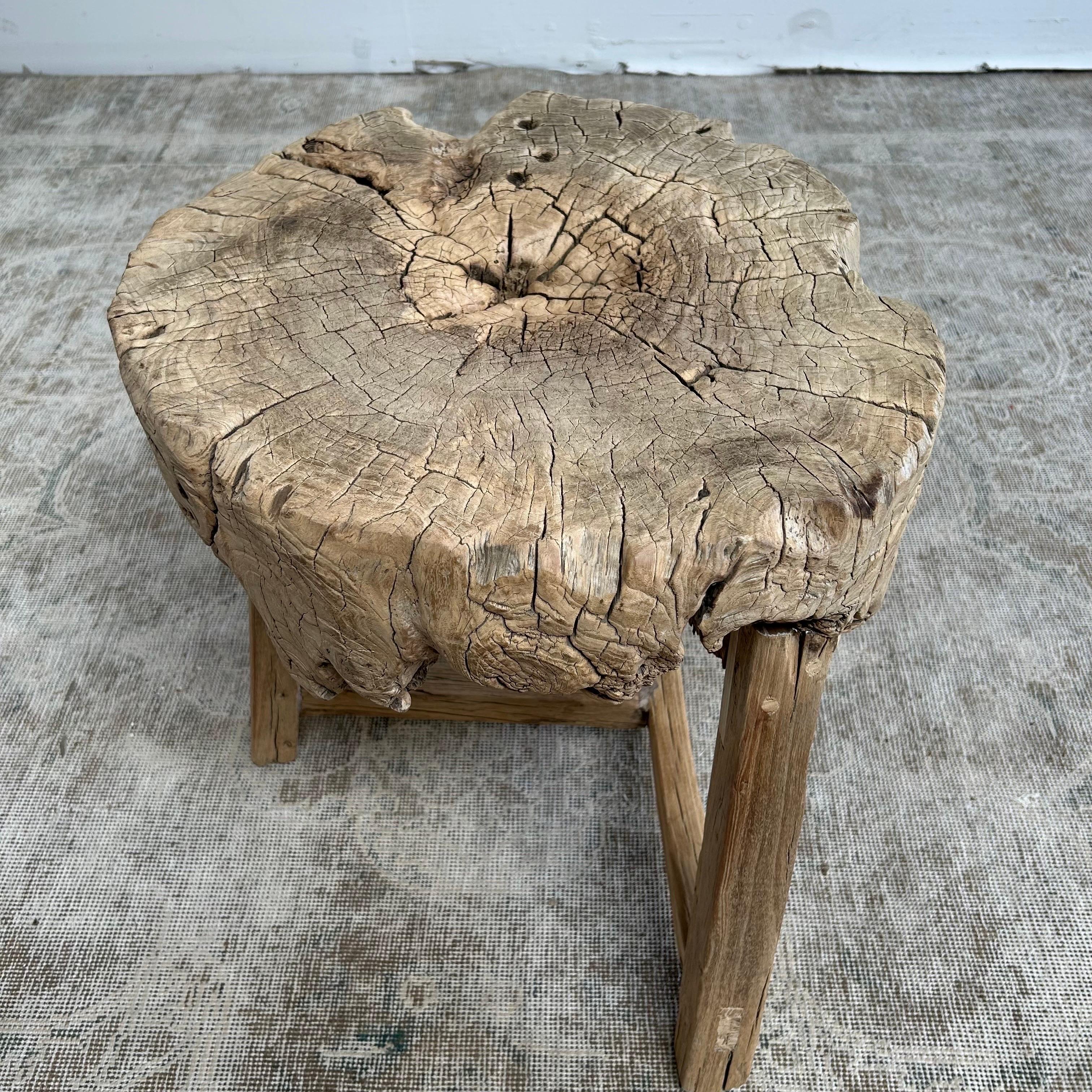 Natural Elm Wood Stump Chop Block Table For Sale 3
