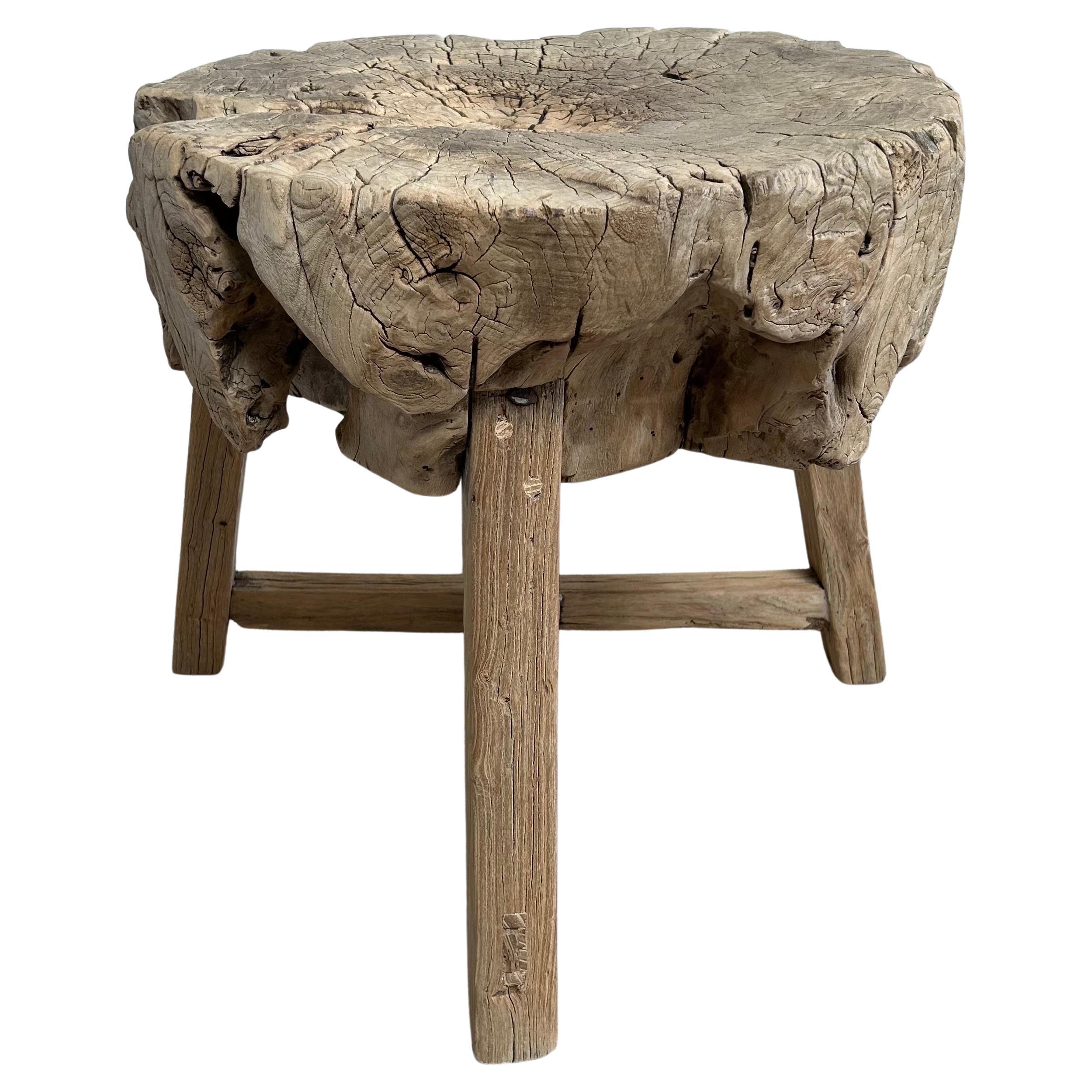 Table en bois de souche d'orme naturel