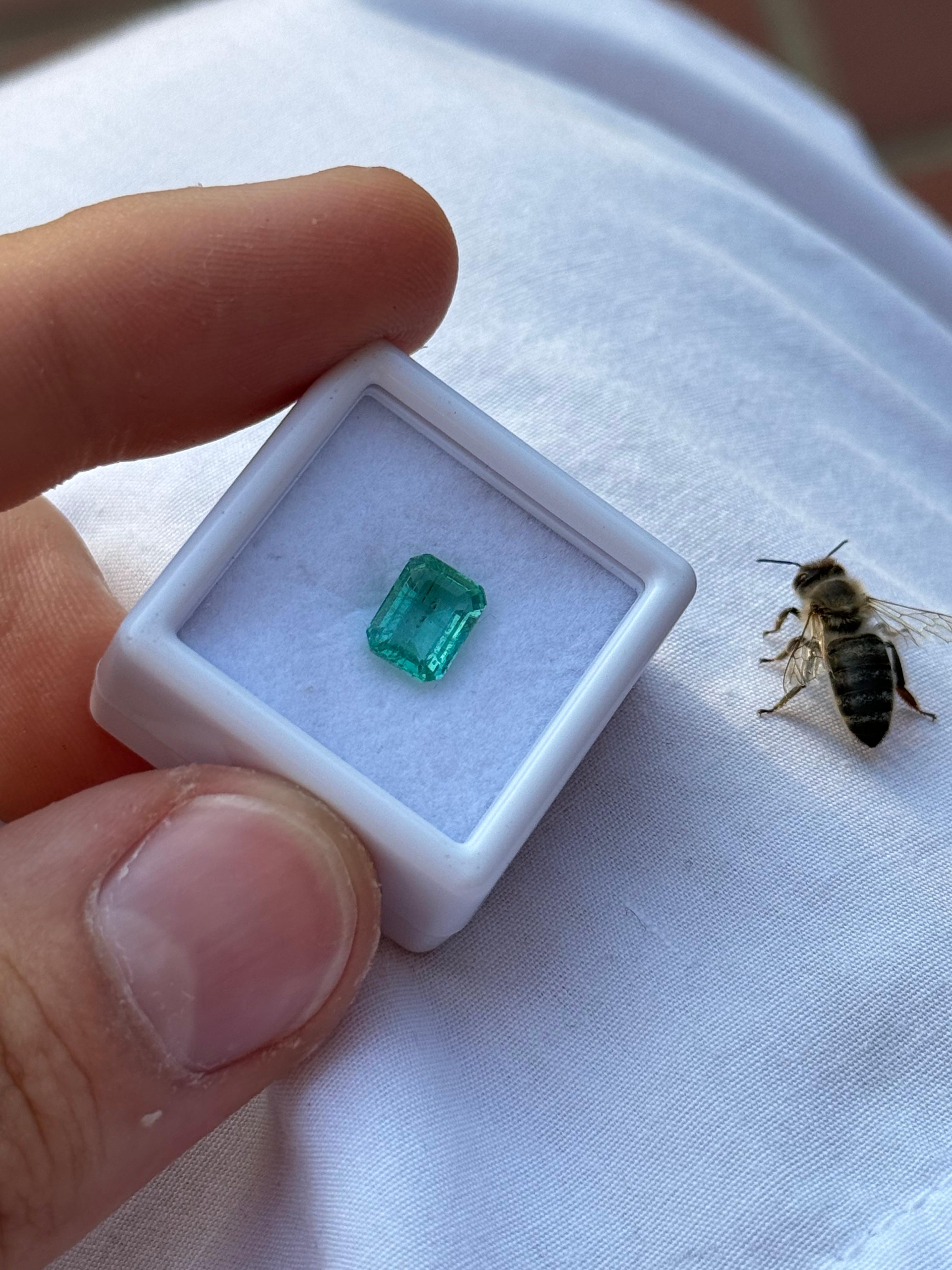 In vendita un bellissimo smeraldo verde menta proveniente dallo Zambia. Questo smeraldo brillante presenta un intenso colore verde menta e caratteristiche interne indicative della sua origine zambiana. La pietra è completamente naturale, senza