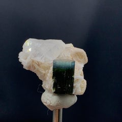 Natural Excellent Bi Color Tourmaline Elongated on Quartz Mother Rock 20 Gram