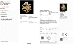 Natural Fancy Color Diamond Heart Multi Band Ring in 18K Solid Gold (Certified)