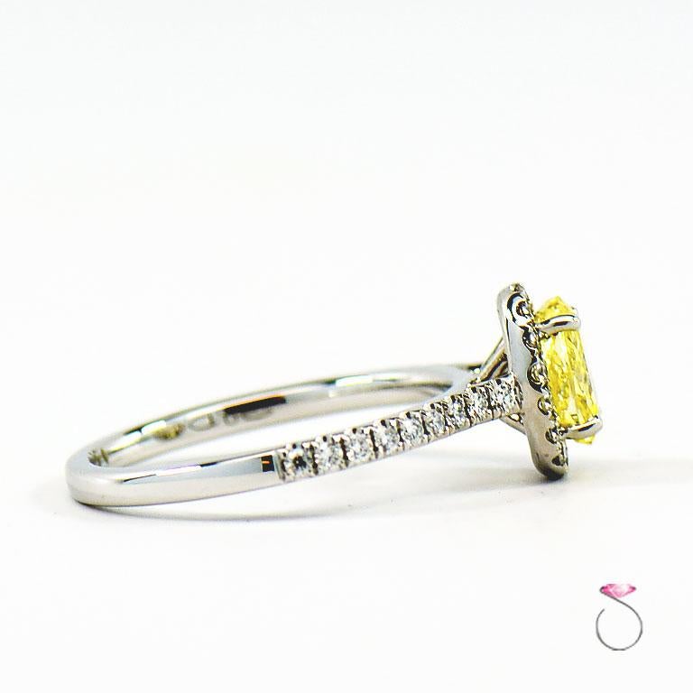 Modern Natural Fancy Intense Yellow Diamond Ring, 1.01 ct. 14K White Gold 1.30 CTW. GIA For Sale