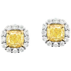 Natural Fancy Yellow Cushion Diamond Stud Earrings in 18 Karat Two-Tone Gold