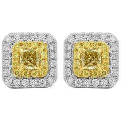 Natural Fancy Yellow Diamond Double Halo Two-Color Gold Stud Earring