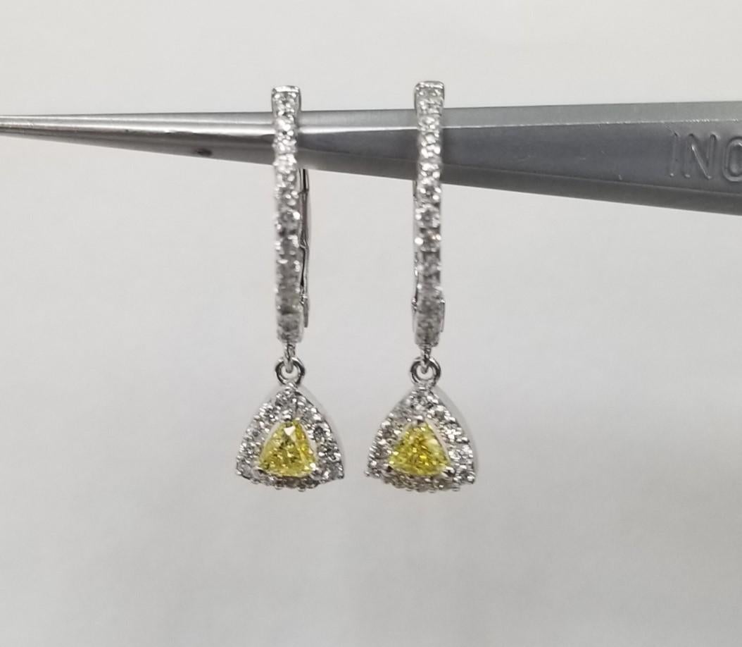 Natural Fancy Yellow Trillion Cut Diamond Set in 14k Wg Diamond Halo Huggies Er For Sale 1