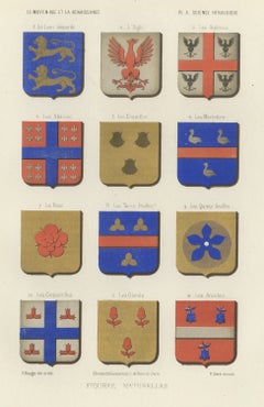 Natural Figures in Heraldry, Lions and Eagles, Antique Print, 1851