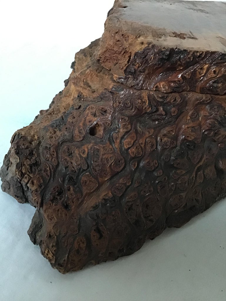 Natural Form Burl Wood Box For Sale at 1stDibs