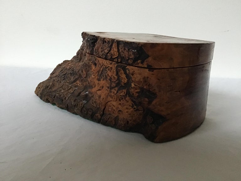 Natural Form Burl Wood Box For Sale at 1stDibs