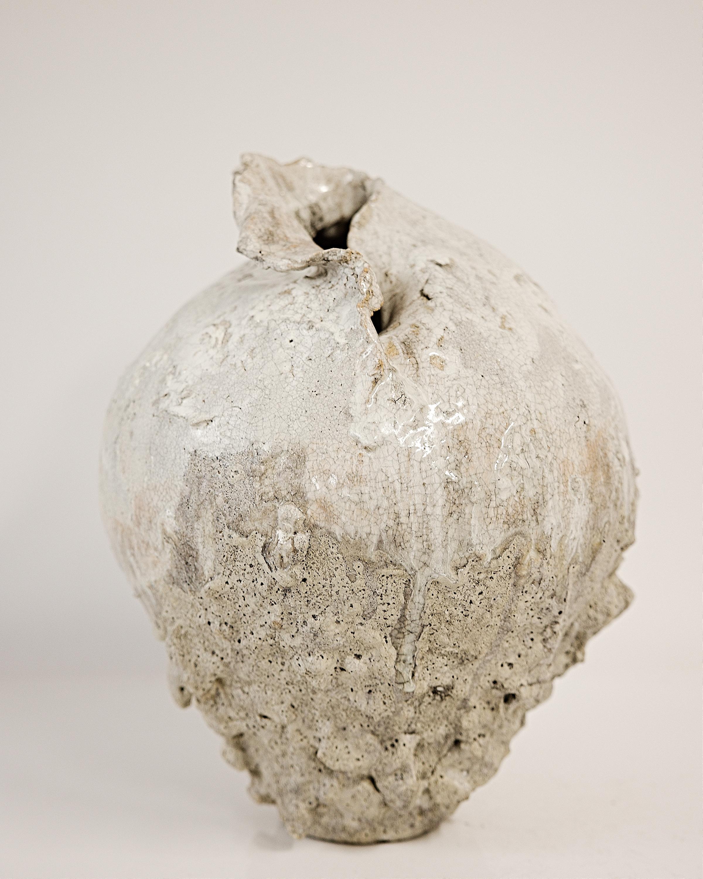 Americano Nature Fragment Fubuki vaso di luna - autunno 2025 in vendita