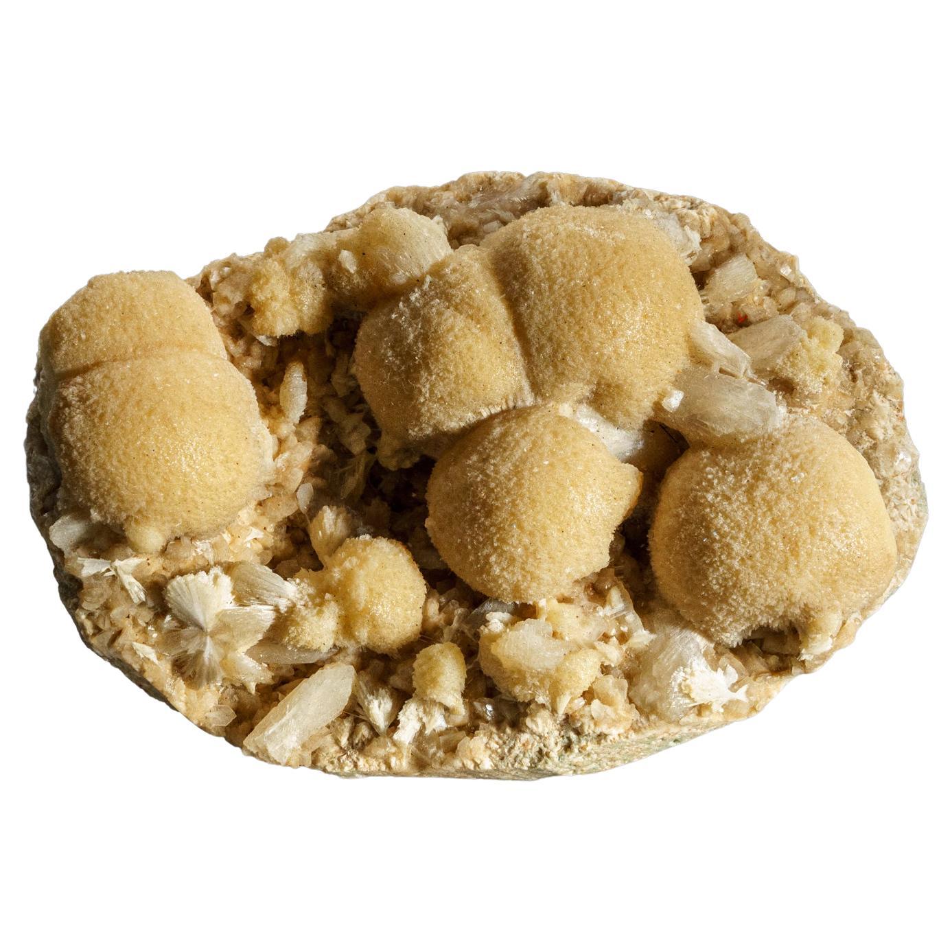 Natürliches echtes Thomsonit- Mineral aus Indien im Angebot