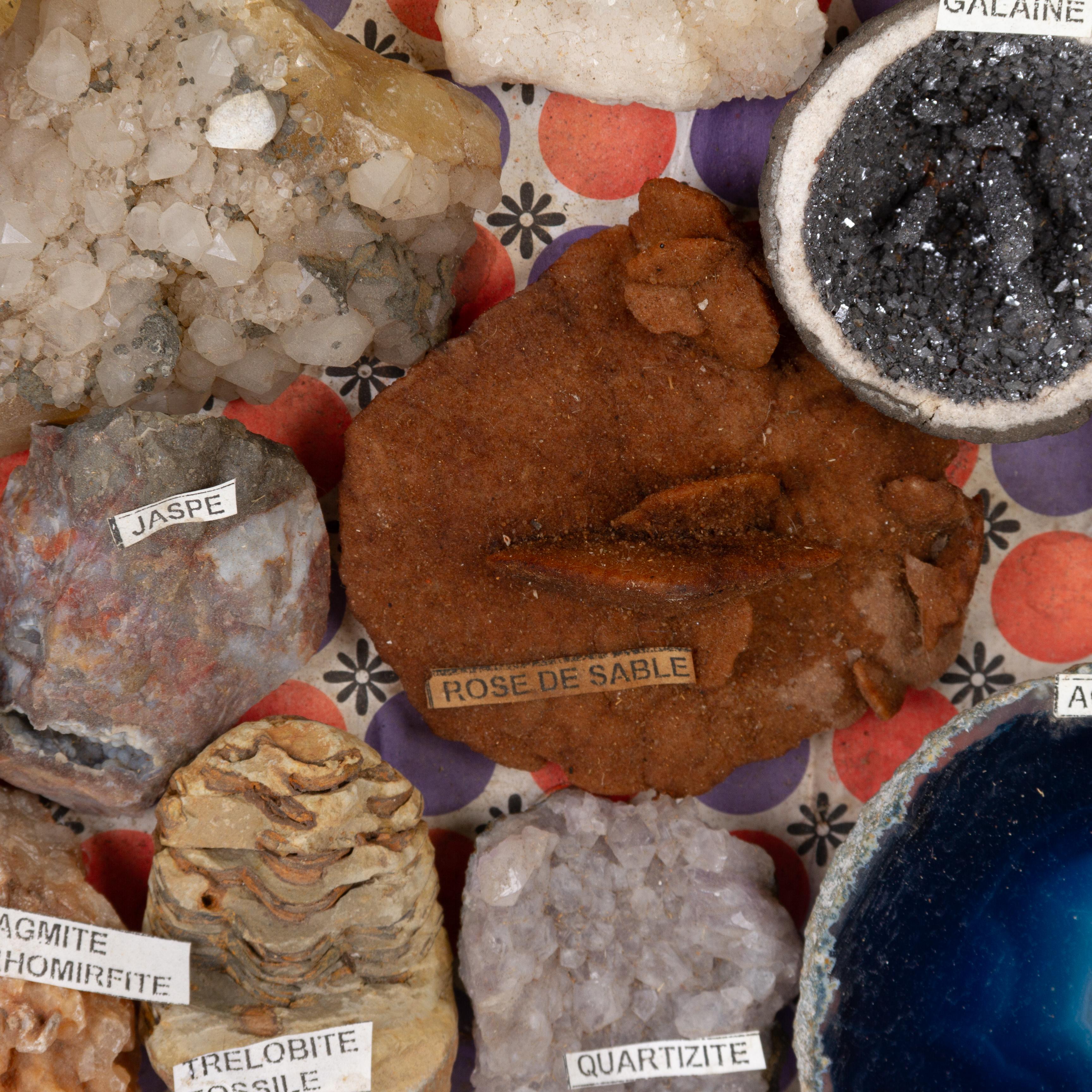 20th Century Natural Geology - Large Mineral Gemological Gemstone & Fossil Collection  For Sale